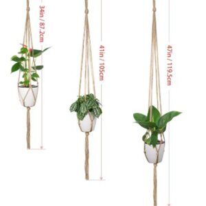 Macrame Plant Hangers